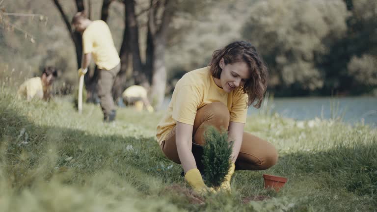 Best Lawn Renovation and Restoration  in Chico, WA