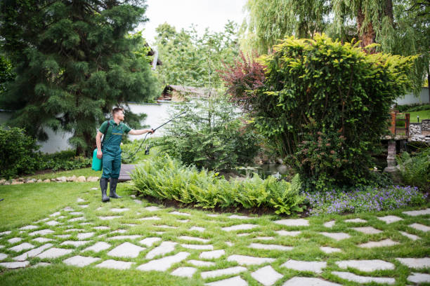 Best Tree Risk Assessment  in Chico, WA